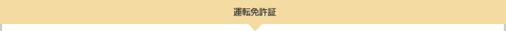 運転免許証（本籍地の記載があるもの）